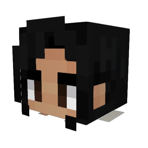 mega_rice Minecraft avatar head, 3D render