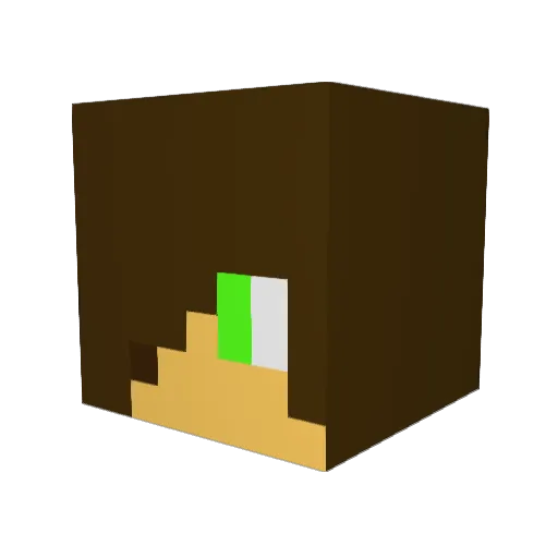 megacon120 Minecraft avatar head, 3D render