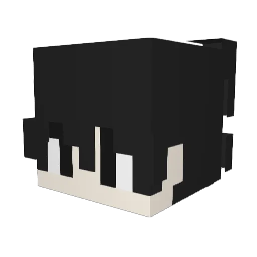 megacoolhamster7 Minecraft avatar head, 3D render