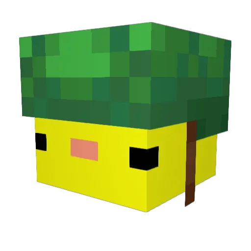 megadolon2011 Minecraft avatar head, 3D render