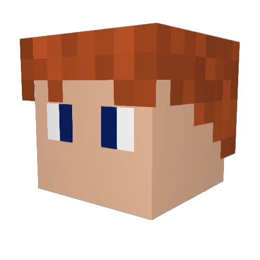 megag25 Minecraft avatar head, 3D render