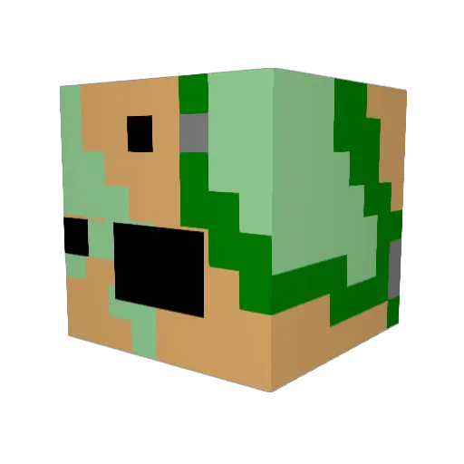 megametroid456 Minecraft avatar head, 3D render