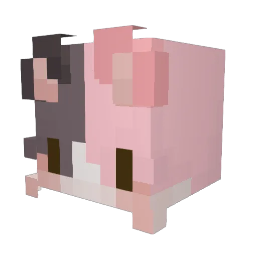 meganelizb Minecraft avatar head, 3D render