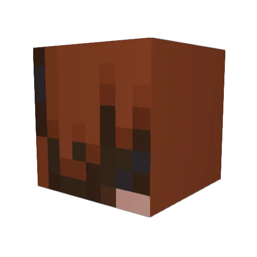 meganfields Minecraft avatar head, 3D render