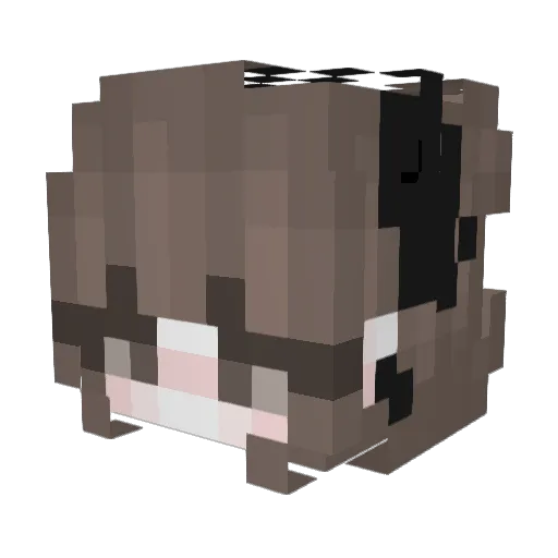 meganu Minecraft avatar head, 3D render