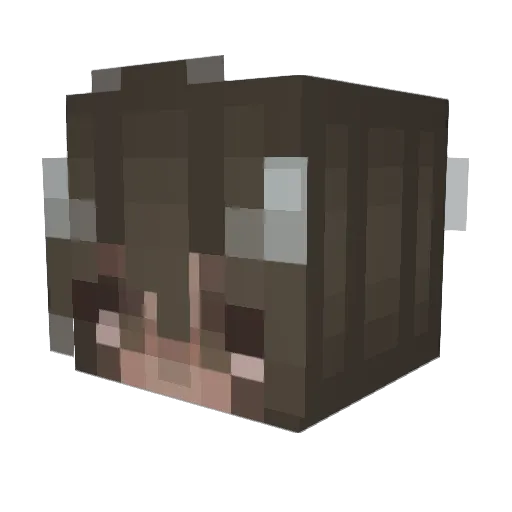 meganvali Minecraft avatar head, 3D render