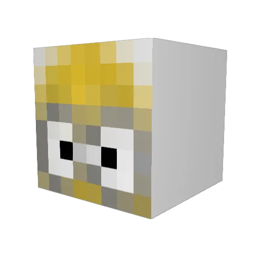 megapoo Minecraft avatar head, 3D render