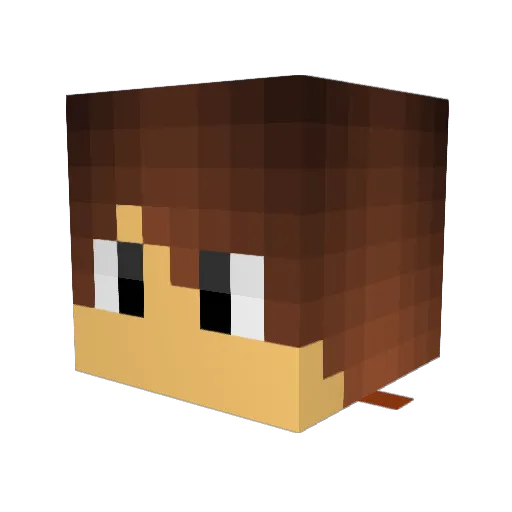megaturtle6 Minecraft avatar head, 3D render
