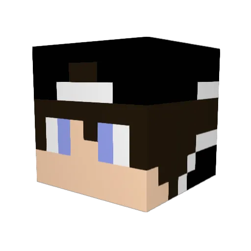 megawolf1031 Minecraft avatar head, 3D render
