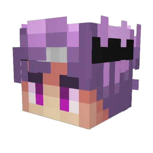 mege11deb Minecraft avatar head, 3D render