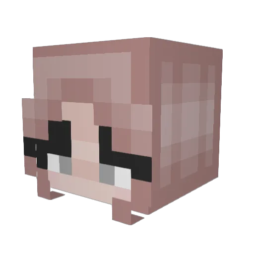 megevans1210 Minecraft avatar head, 3D render