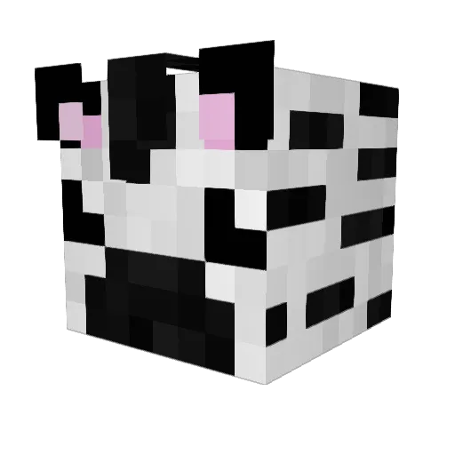 meggie_ Minecraft avatar head, 3D render