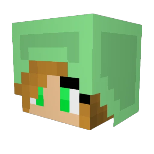 meggieboo81 Minecraft avatar head, 3D render