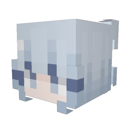 megnaly Minecraft avatar head, 3D render
