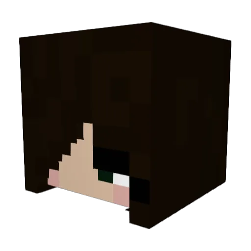megs6517 Minecraft avatar head, 3D render