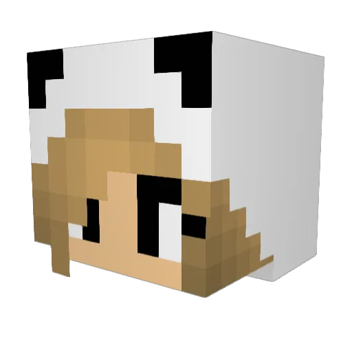 megsplays Minecraft avatar head, 3D render