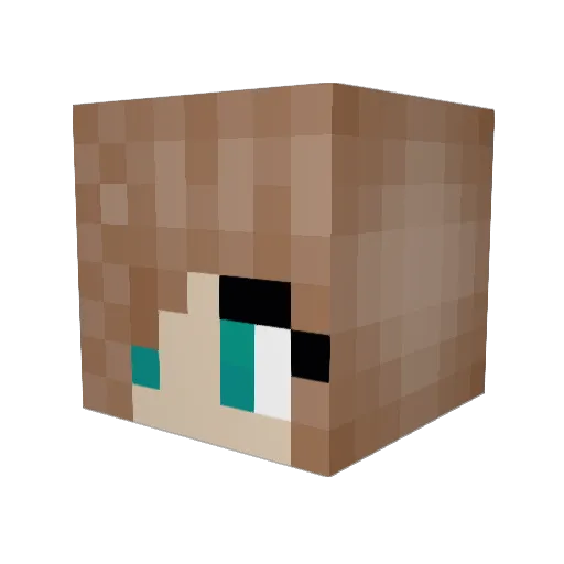 megtheeestallion Minecraft avatar head, 3D render