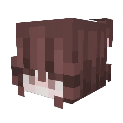 megug Minecraft avatar head, 3D render