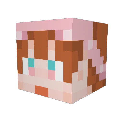 megunta Minecraft avatar head, 3D render