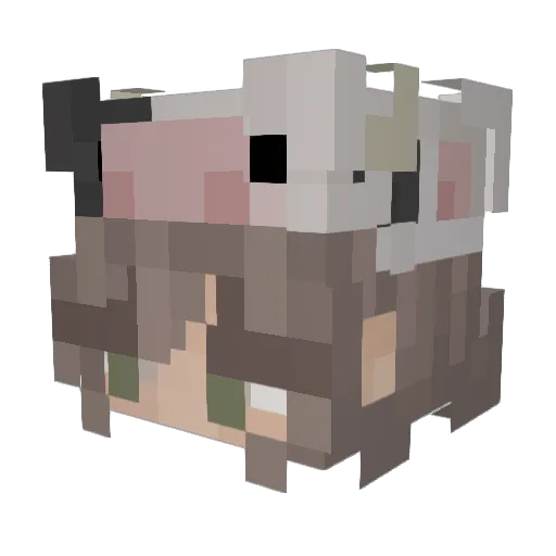 megwelp Minecraft avatar head, 3D render
