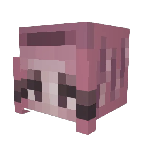 mehgnle Minecraft avatar head, 3D render