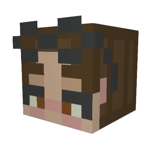 mehilainen Minecraft avatar head, 3D render