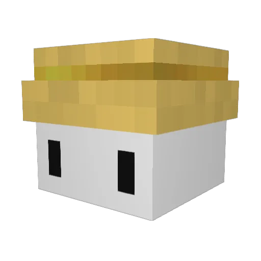 mehtab_op Minecraft avatar head, 3D render