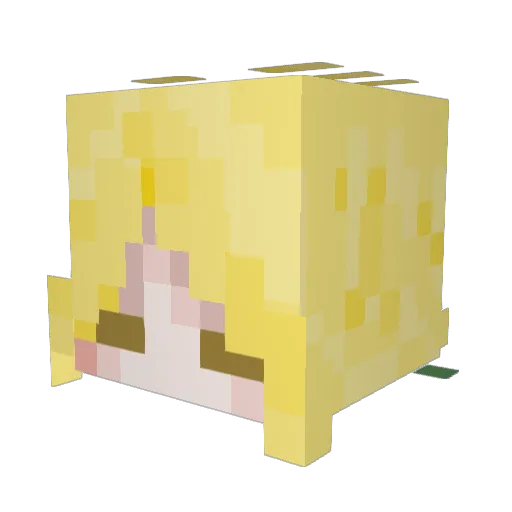 mehye2227 Minecraft avatar head, 3D render