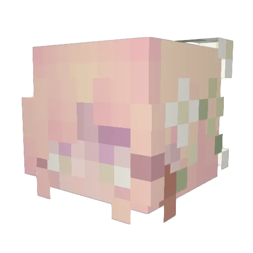 mei_nya_ Minecraft avatar head, 3D render