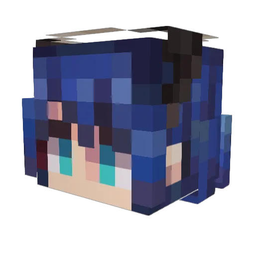 meies Minecraft avatar head, 3D render