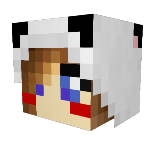 meiguiGG Minecraft avatar head, 3D render