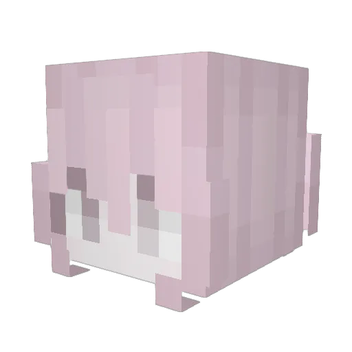 meioki Minecraft avatar head, 3D render