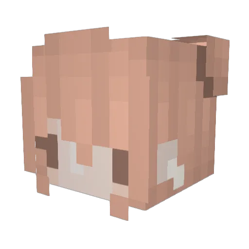 meipafff Minecraft avatar head, 3D render