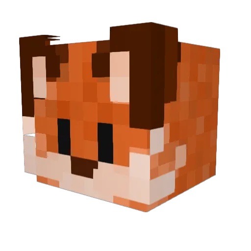 meiscoolx2 Minecraft avatar head, 3D render