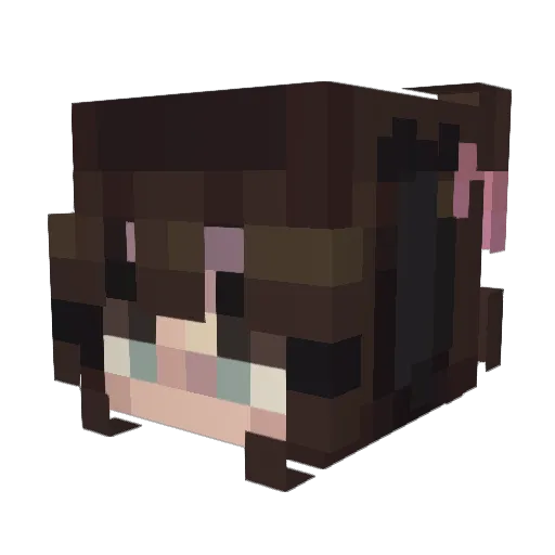 meiske Minecraft avatar head, 3D render