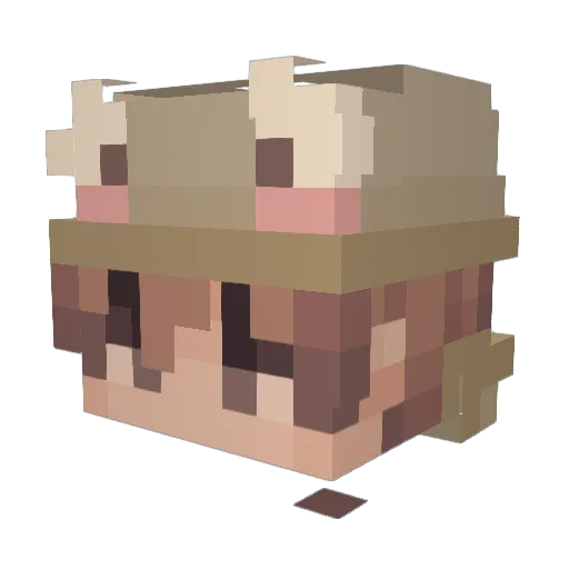 meislug Minecraft avatar head, 3D render