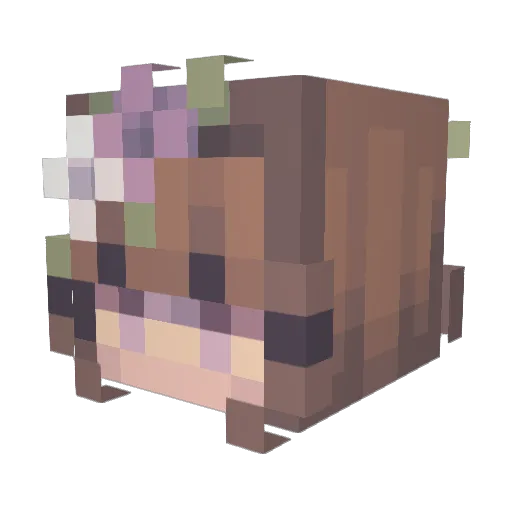 meisvanni Minecraft avatar head, 3D render