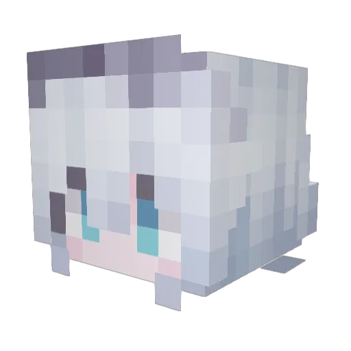 meiyi2333 Minecraft avatar head, 3D render