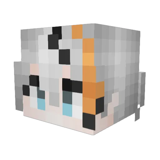 meiyou629 Minecraft avatar head, 3D render