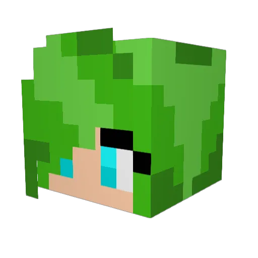 meizcool Minecraft avatar head, 3D render