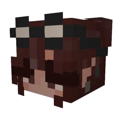 mekitaxx Minecraft avatar head, 3D render