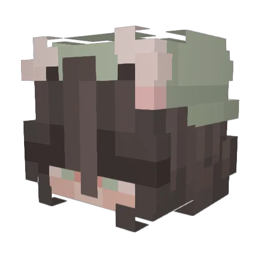mekyana Minecraft avatar head, 3D render