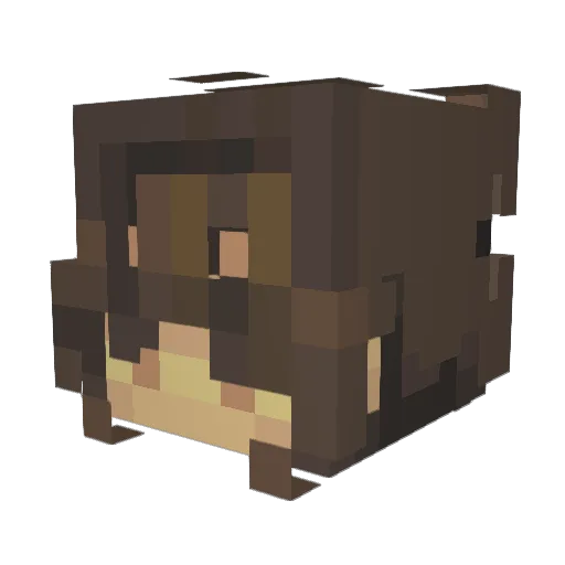 mekyx Minecraft avatar head, 3D render