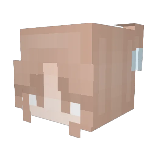 mel_moops Minecraft avatar head, 3D render