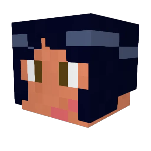 melanyftls Minecraft avatar head, 3D render