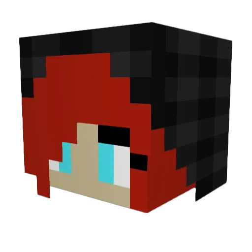 melibug06 Minecraft avatar head, 3D render
