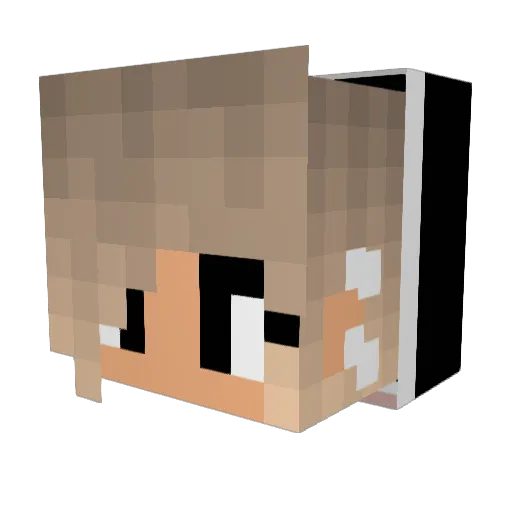 melinaaa911 Minecraft avatar head, 3D render