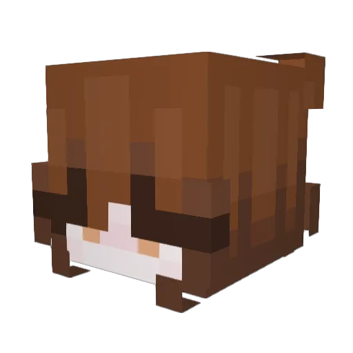 melinnie Minecraft avatar head, 3D render