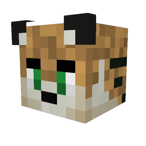 meliost Minecraft avatar head, 3D render