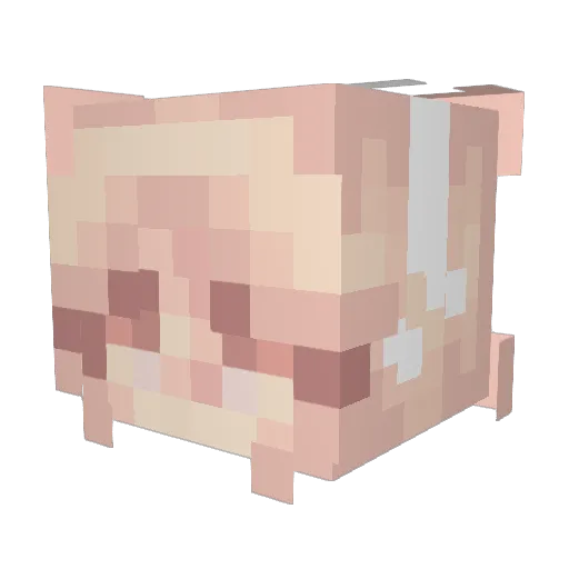 meliss12340 Minecraft avatar head, 3D render